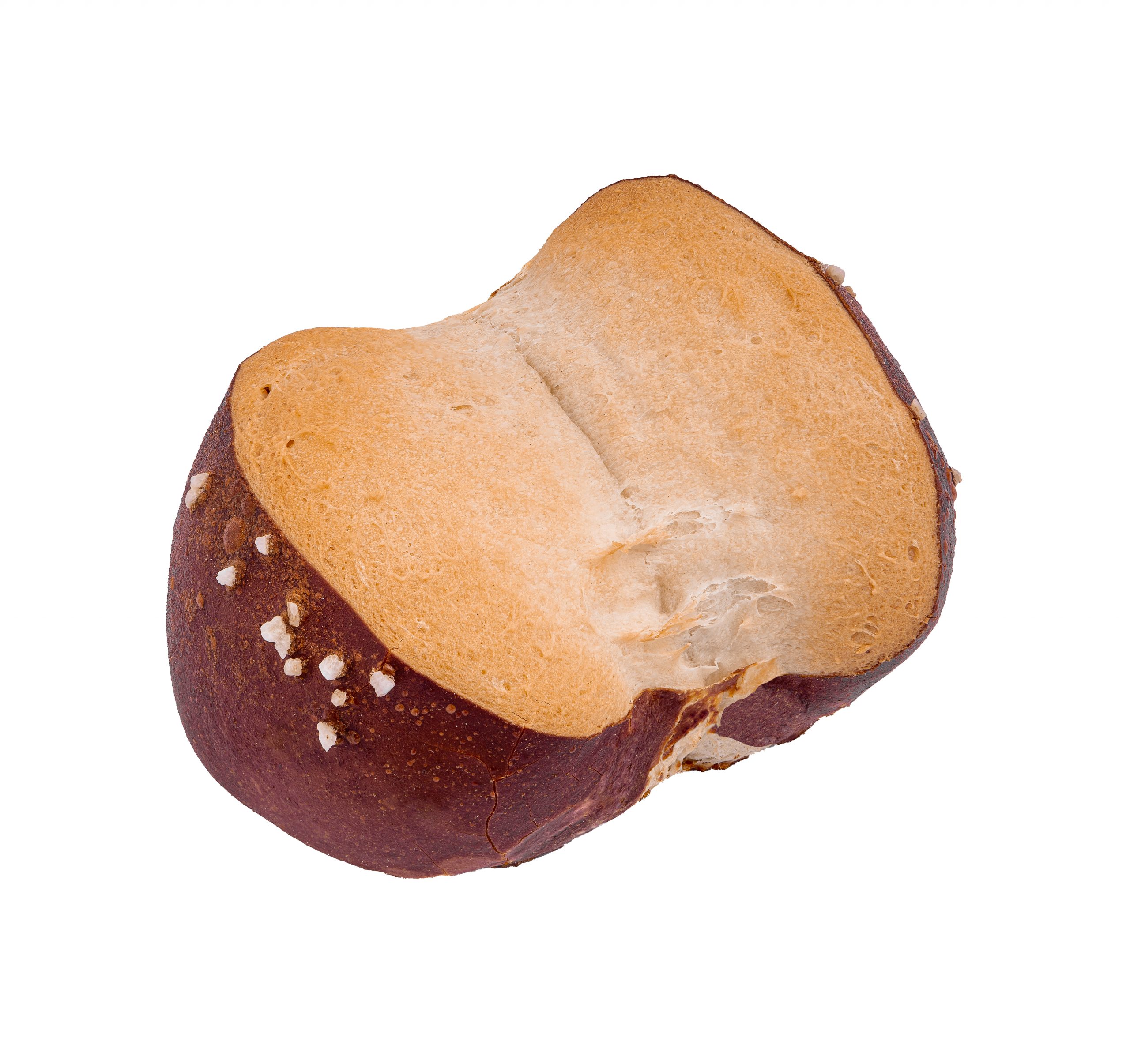 #-629---Mauerer_oeko_laugensemmel