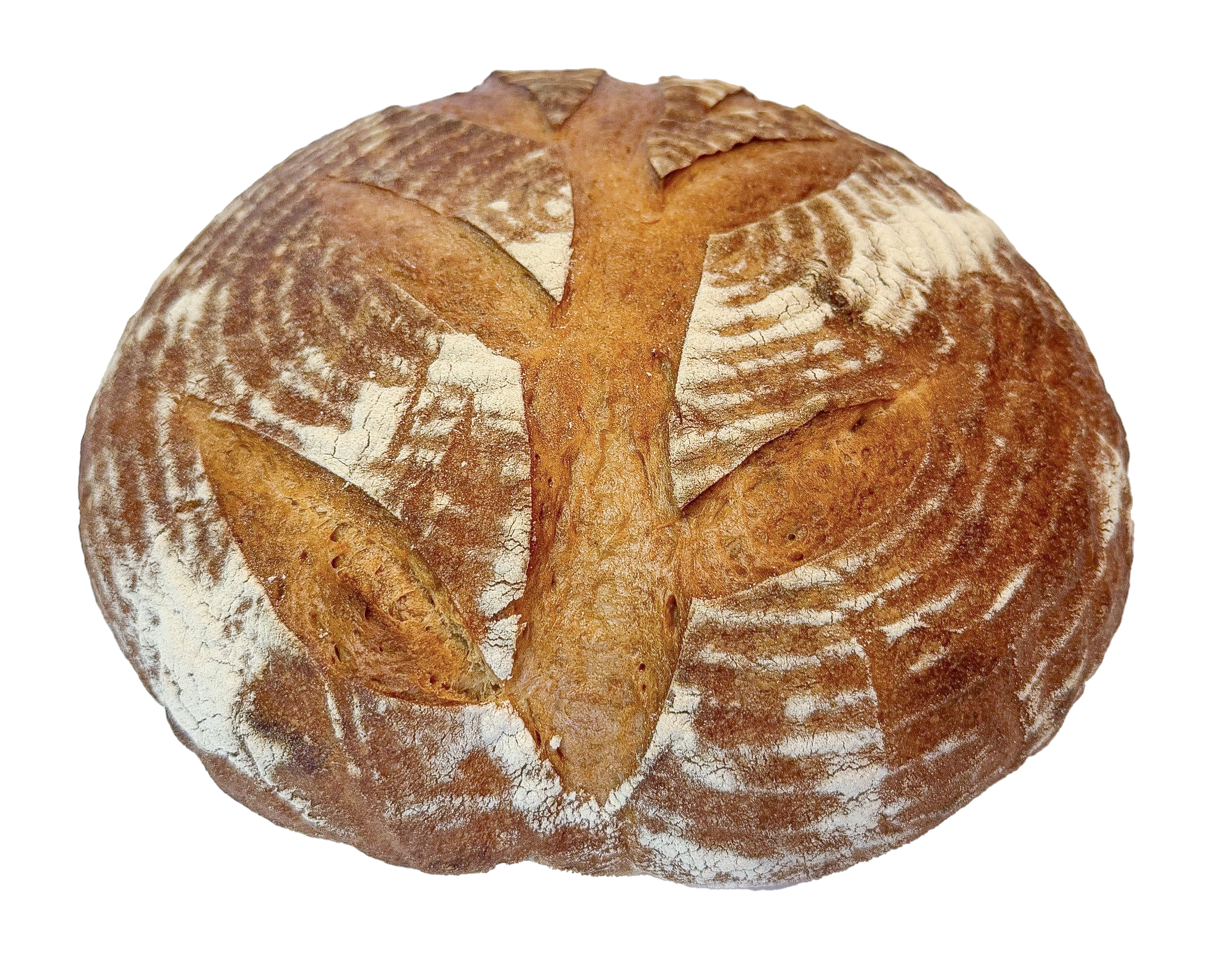 4000 # Fritz -Bio-Weizen-Kruste